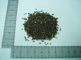 Серебро (контакты реле)
